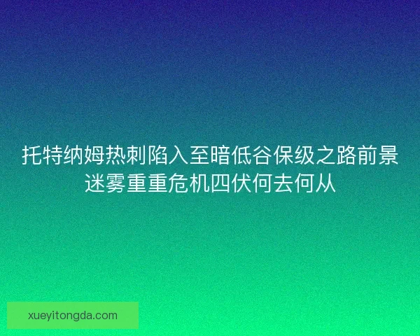 托特纳姆热刺陷入至暗低谷保级之路前景迷雾重重危机四伏何去何从