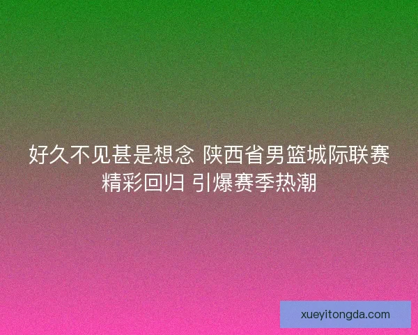 好久不见甚是想念 陕西省男篮城际联赛精彩回归 引爆赛季热潮