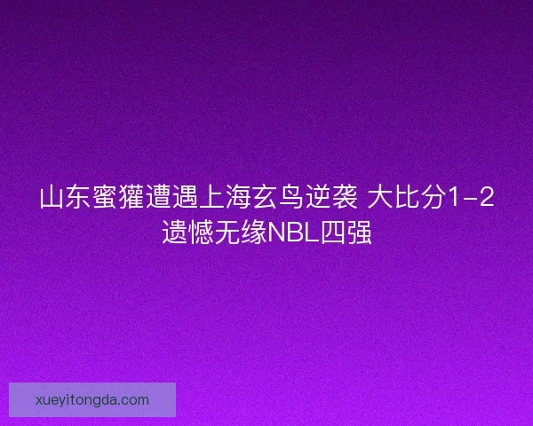山东蜜獾遭遇上海玄鸟逆袭 大比分1-2遗憾无缘NBL四强